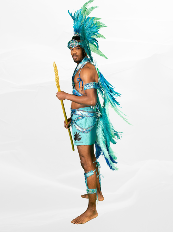 Aquamarine Warrior (Complete Below form in the Product description and activate the 10% discount)