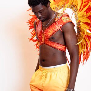 Sunfyre  Fire Elemental (Warrior Male) - €250