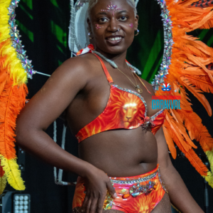 Sunfyre  Fire Elemental (Goddess Female - Mid/Back Line) - €325